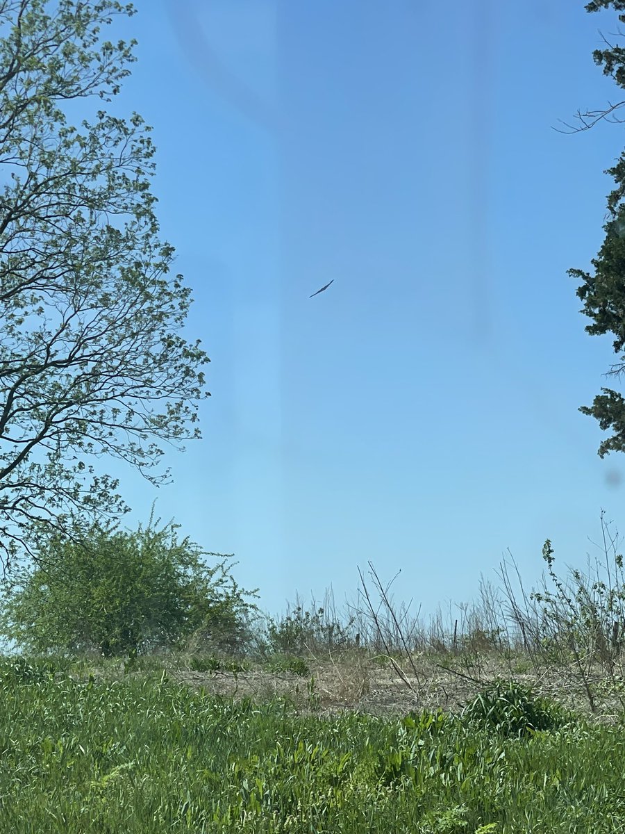 KurtisGregory51's tweet image. Ain’t she pretty. @Whiteman_AFB #merica