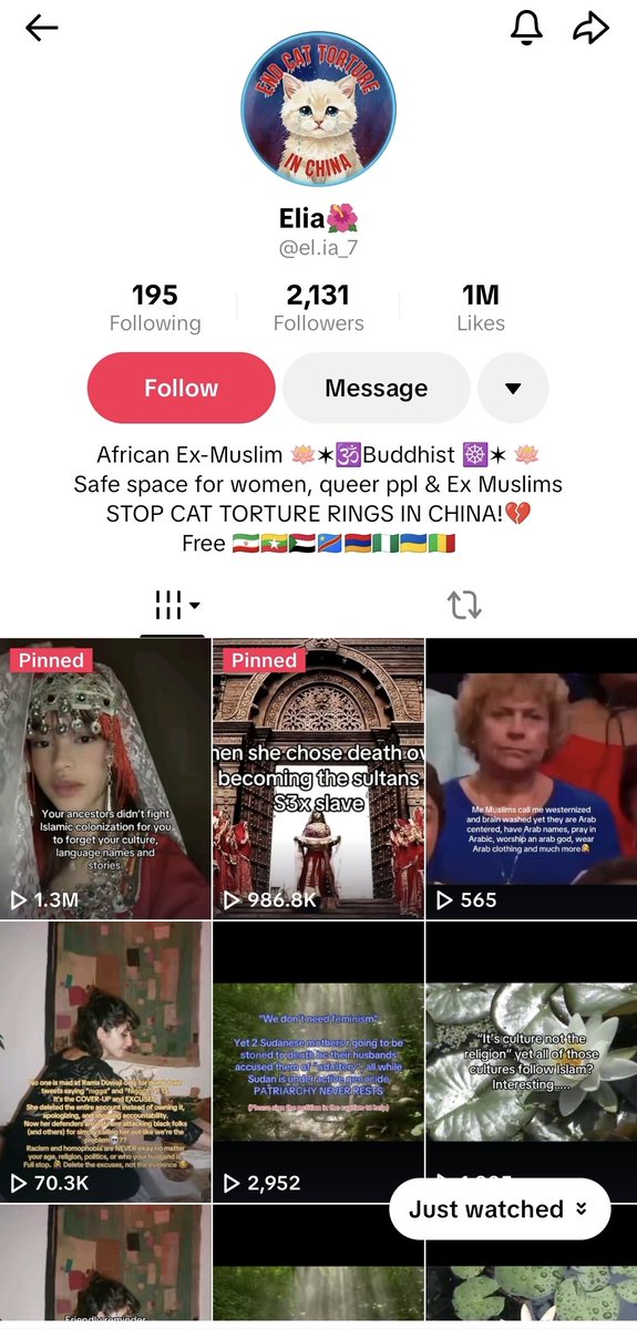 Ammar عمار tweet media