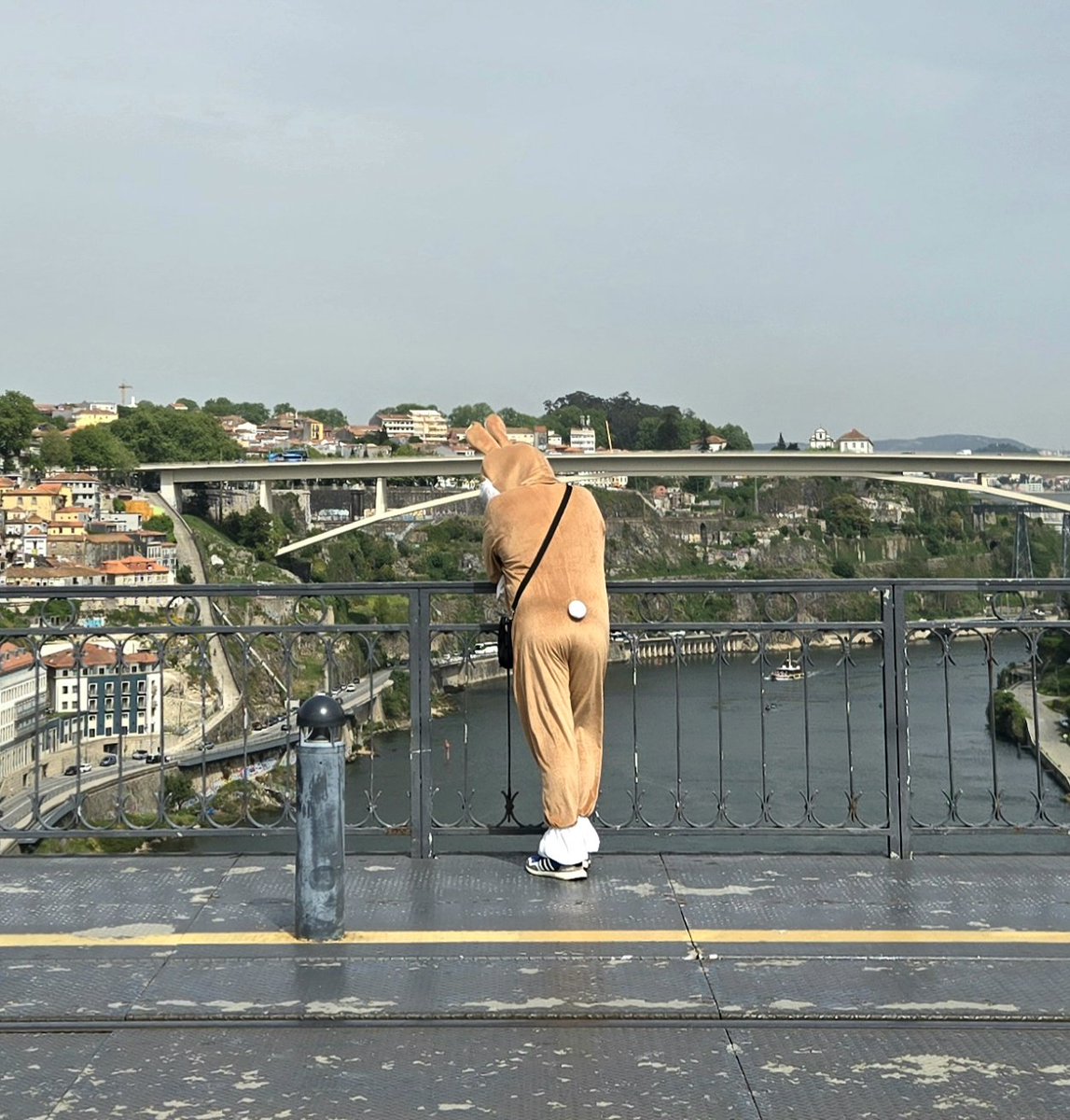 Santiago tweet media