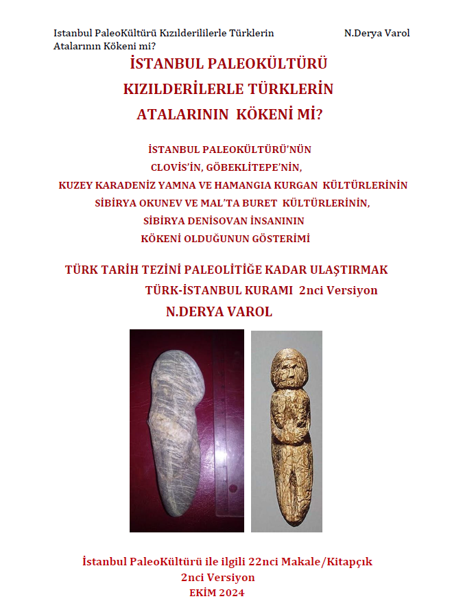 N.Derya Varol tweet media