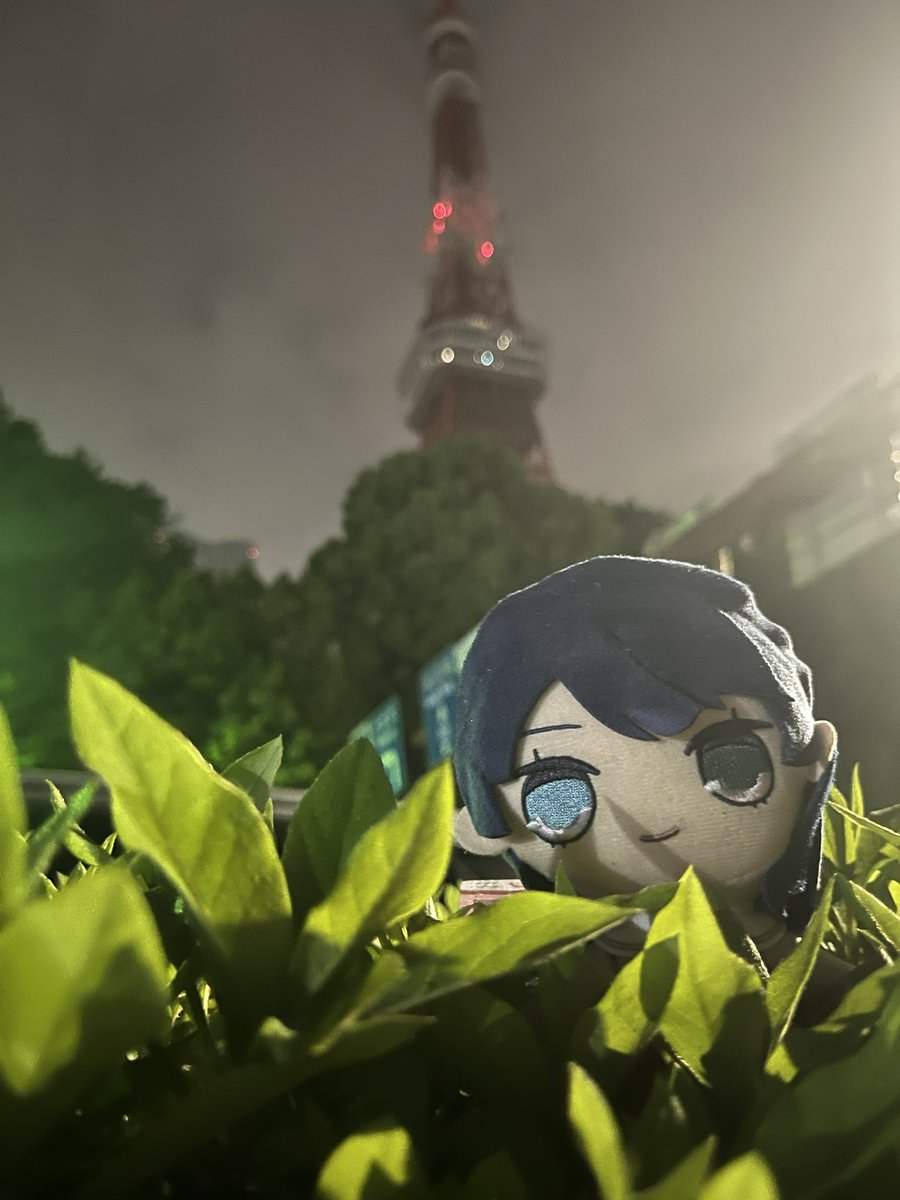 リトルデーモンとり🕊️/ニャオシグニャル tweet media