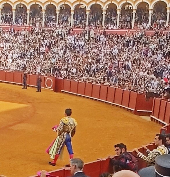 Portal Taurino tweet media