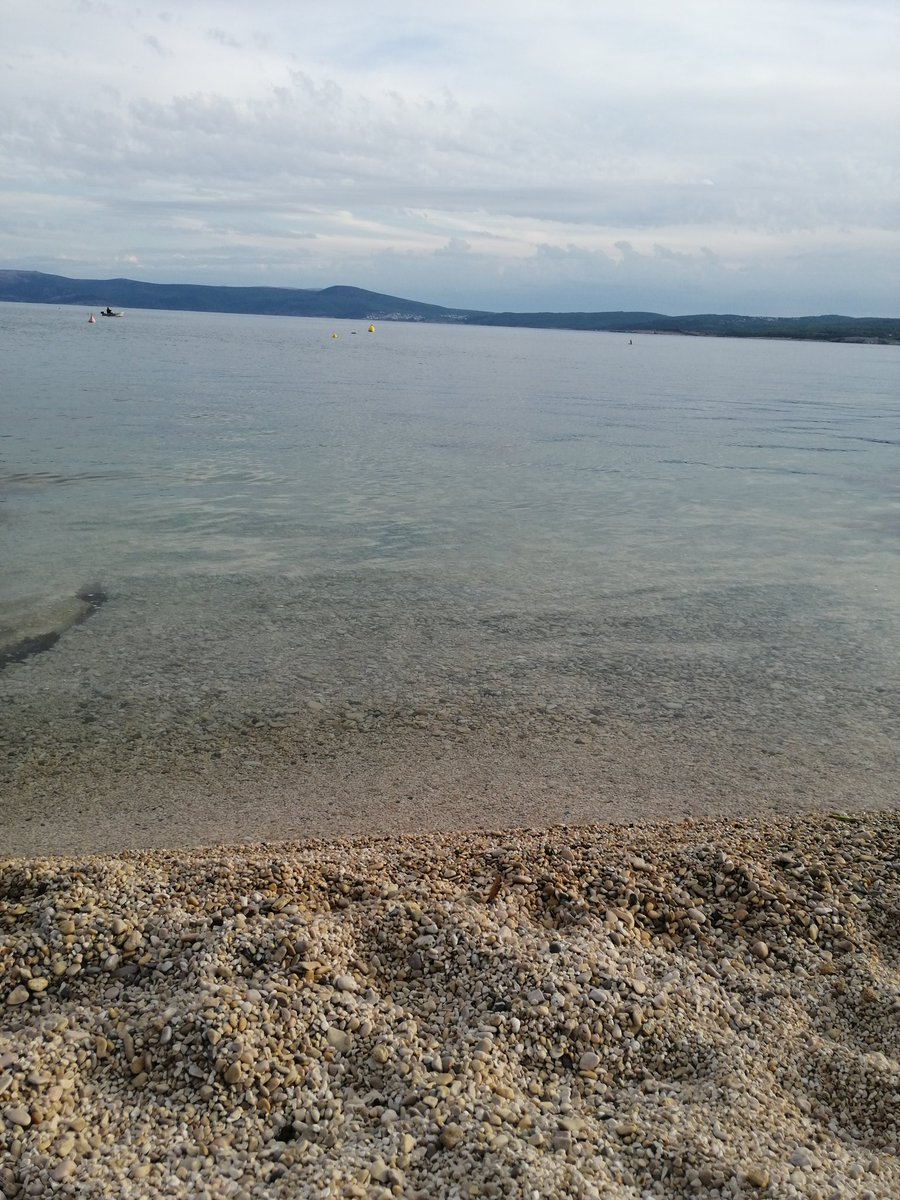 Bruno Zupan tweet media