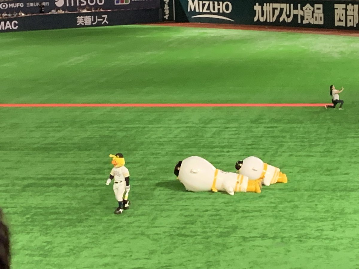 のぞみ tweet media