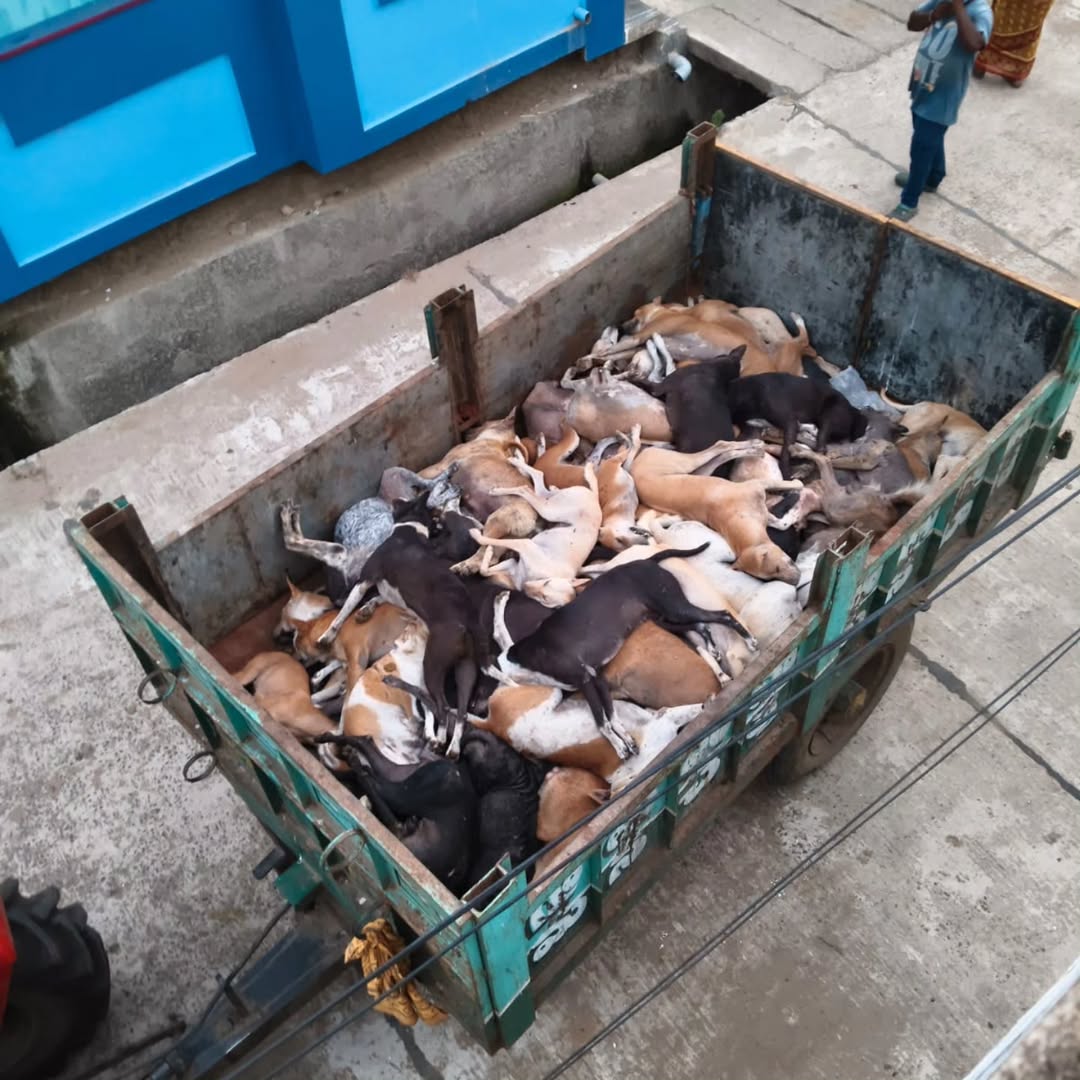 j.a.h.n.a.v.i._.i.y.e.r tweet media