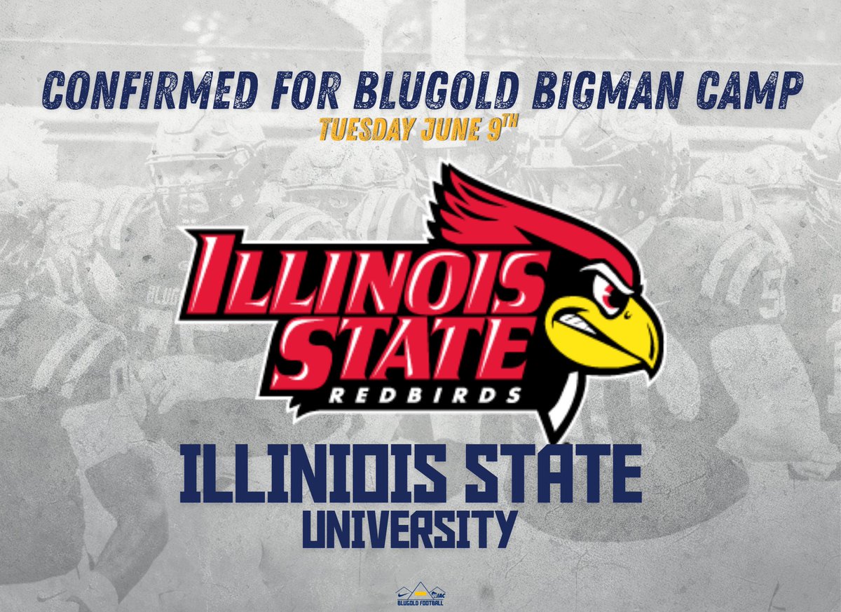 Blugold Football tweet media