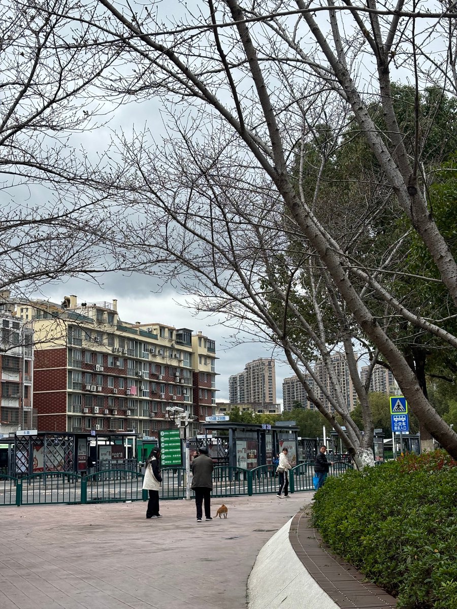 Brienne Paulsen tweet media