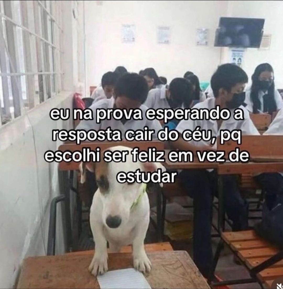 Pagina lixo tweet media