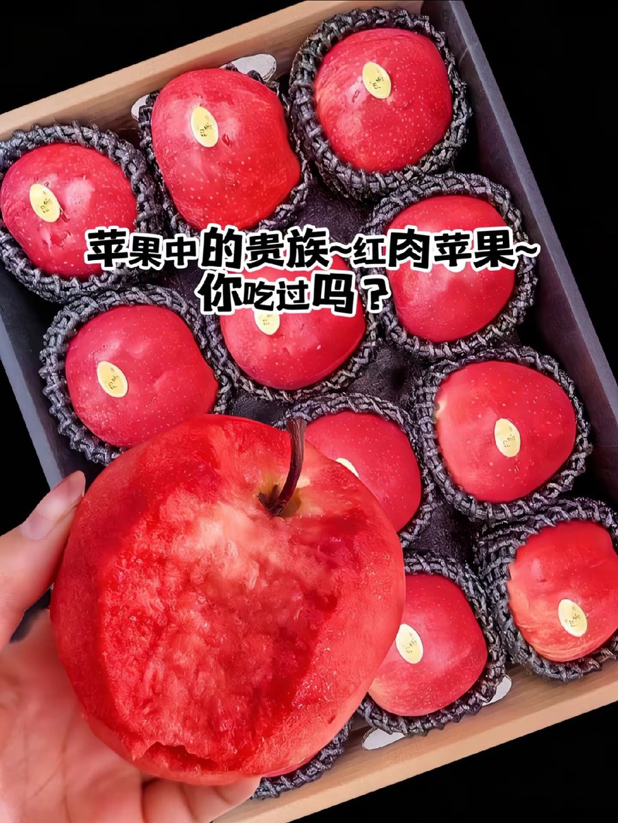 andreea panaite tweet media