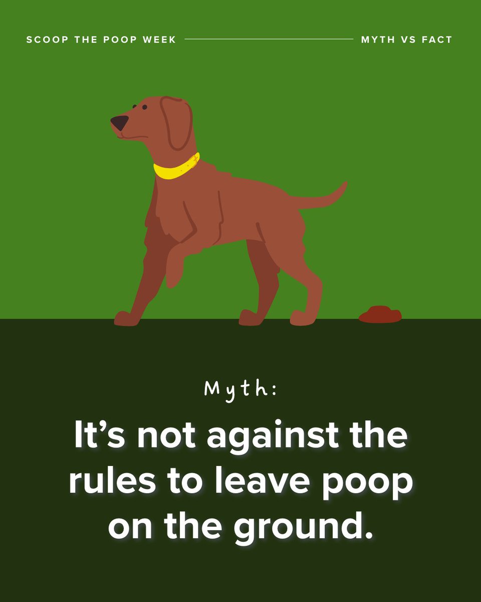 CharMeck Storm Water tweet media