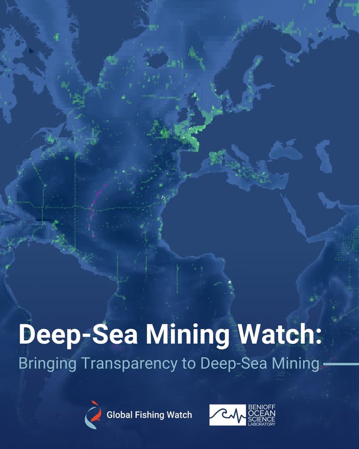 Global Fishing Watch tweet media