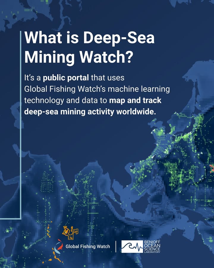 Global Fishing Watch tweet media