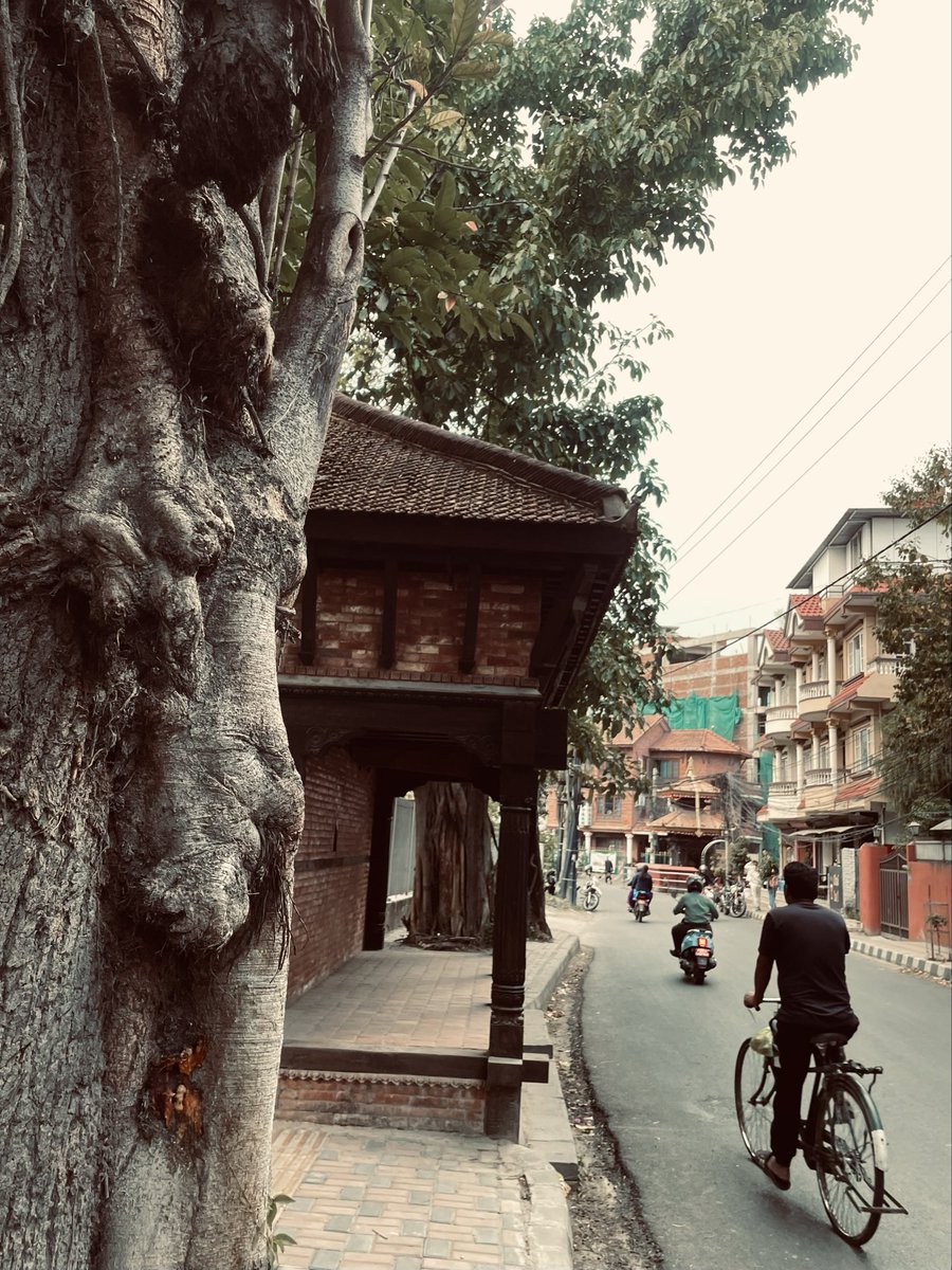 pgpratiksha's tweet image. कामाण्डौका गल्लिहरू । 

#people #places #culture #lifestyle #life #gully #dailylive #kathmandu #streets #pgpgraphy #photography