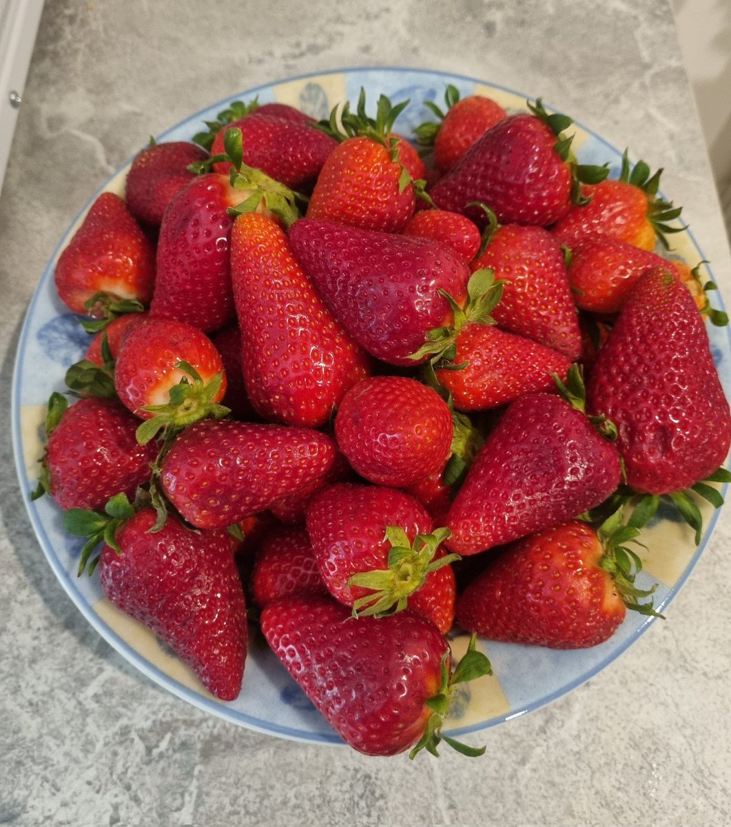 Ari-❣️88💕 tweet media