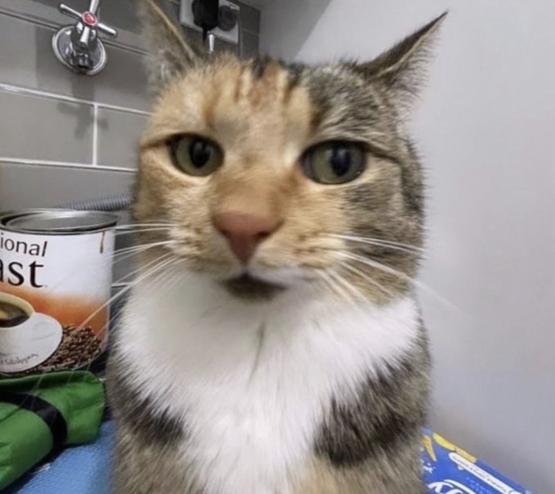 R04D_K1LL tweet media