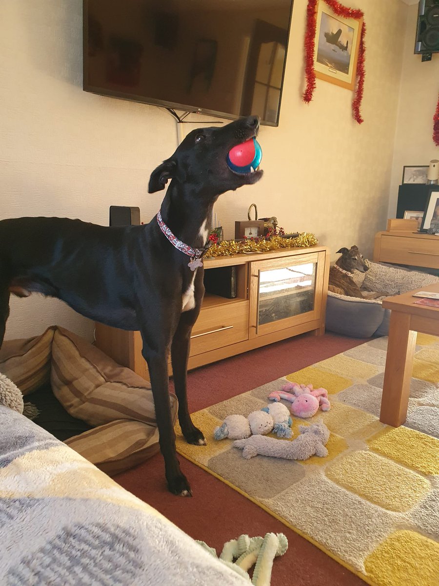 Fergal O'Brien Racing tweet media