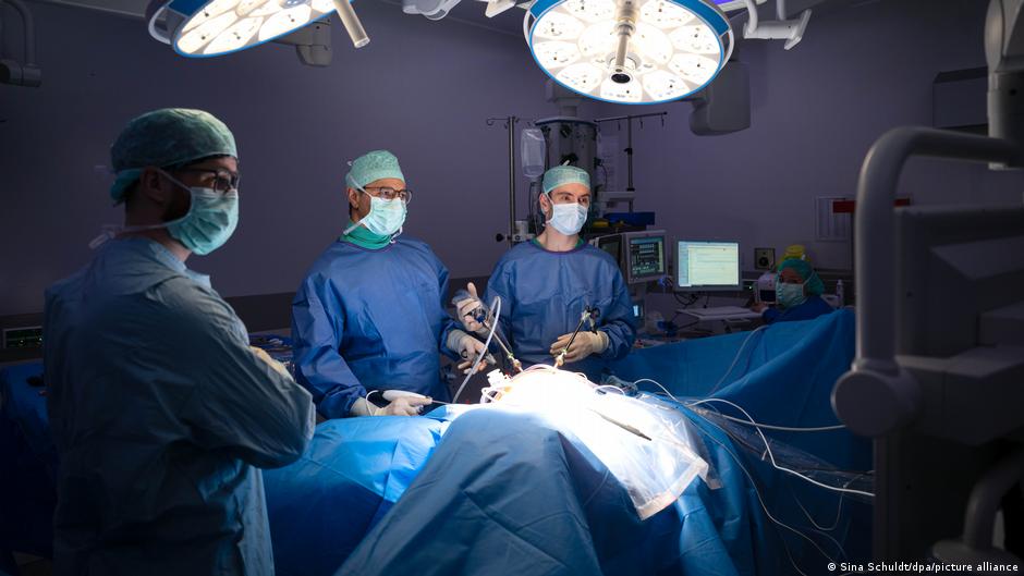 DW на русском tweet media