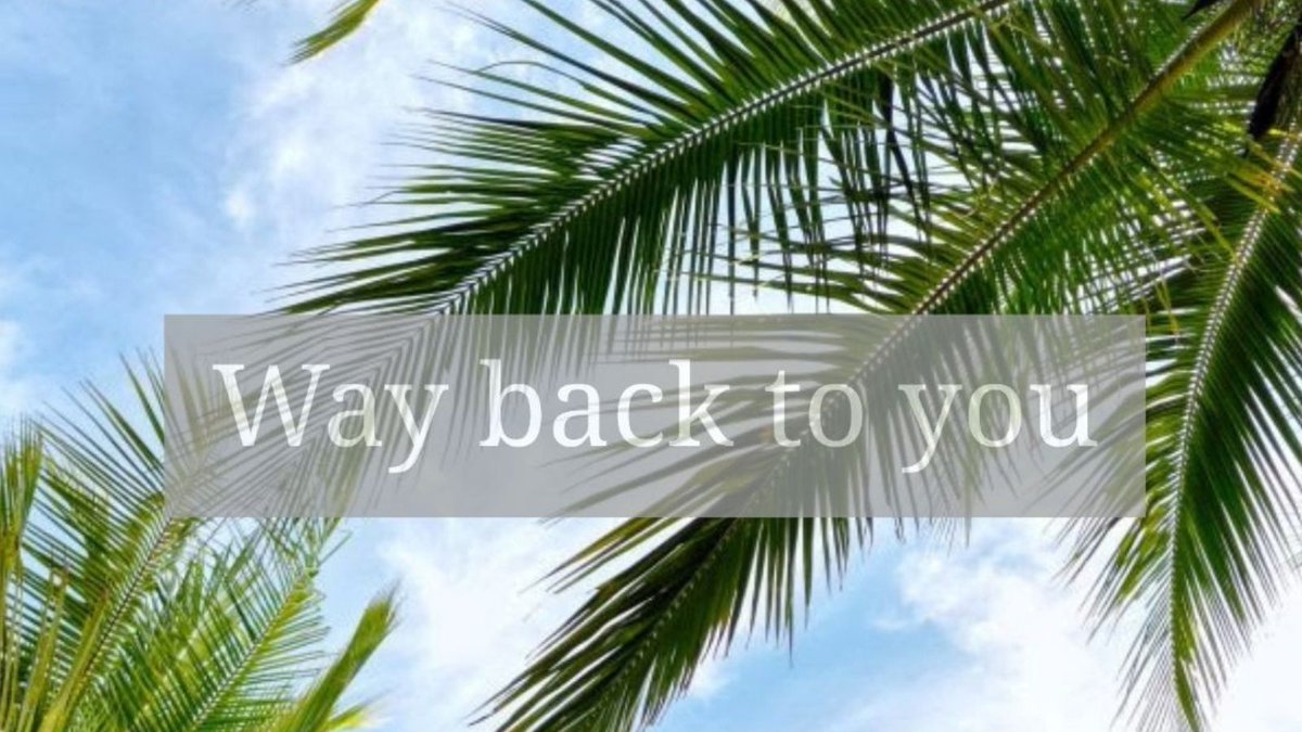 Waybacktoyou1's tweet photo. We just sent out our news letter, did you see it? Here are the highlights!

#waybacktoyou #sustainablelife #healthyliving #sustainableliving 
#surfing #outerknown #lifestyle #healthylifestyle

Like it? Go to our webpage and scroll down to subscribe!

https://t.co/k6WHPuxEZt https://t.co/dpNRj3ciZl
