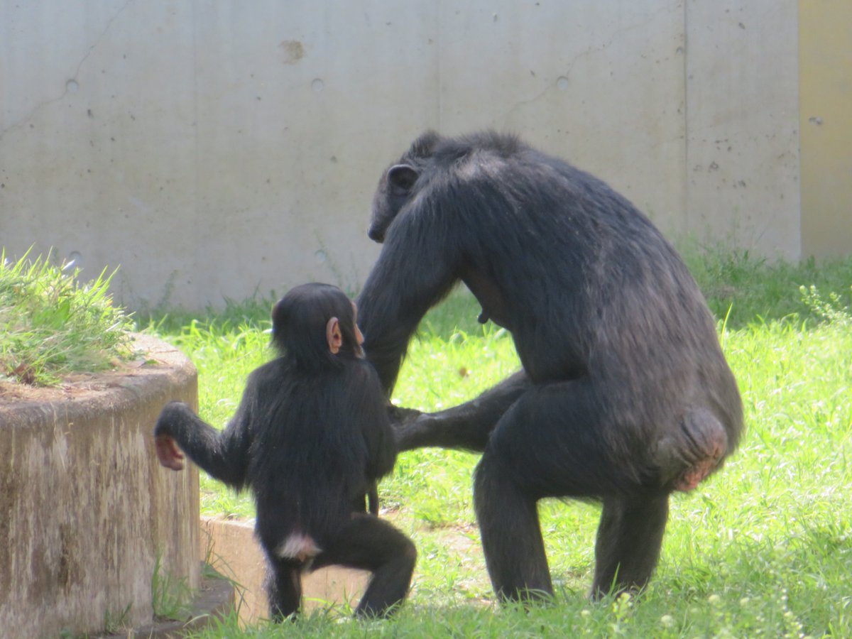 溝上万里央 tweet media