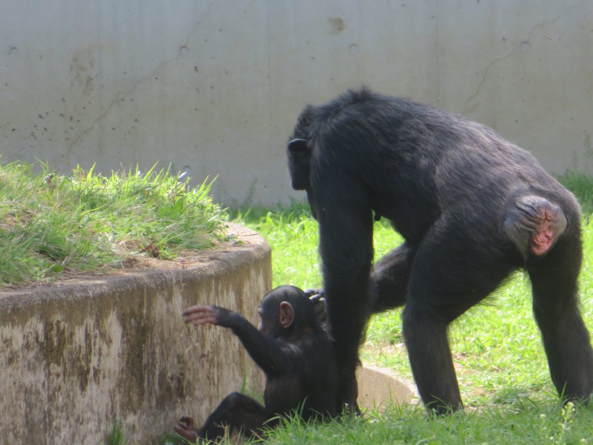 溝上万里央 tweet media