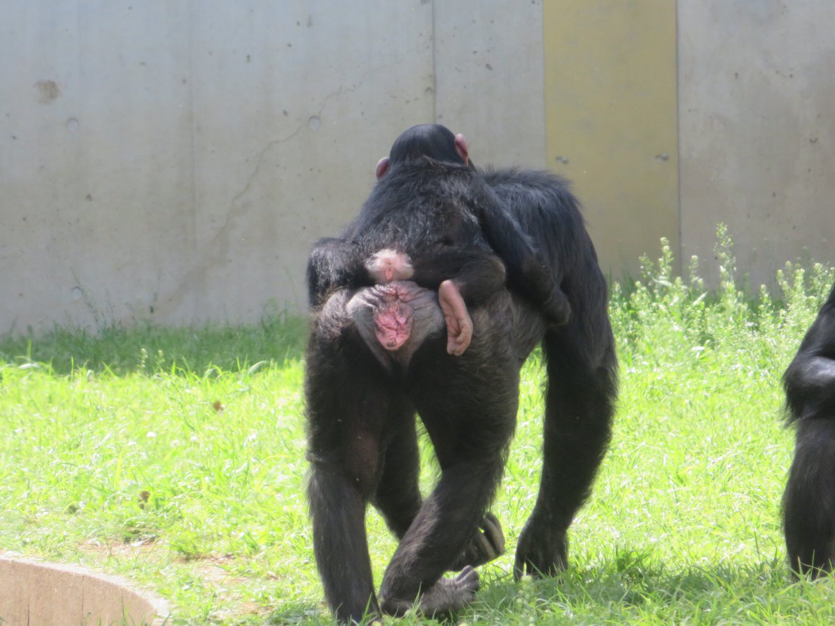 溝上万里央 tweet media