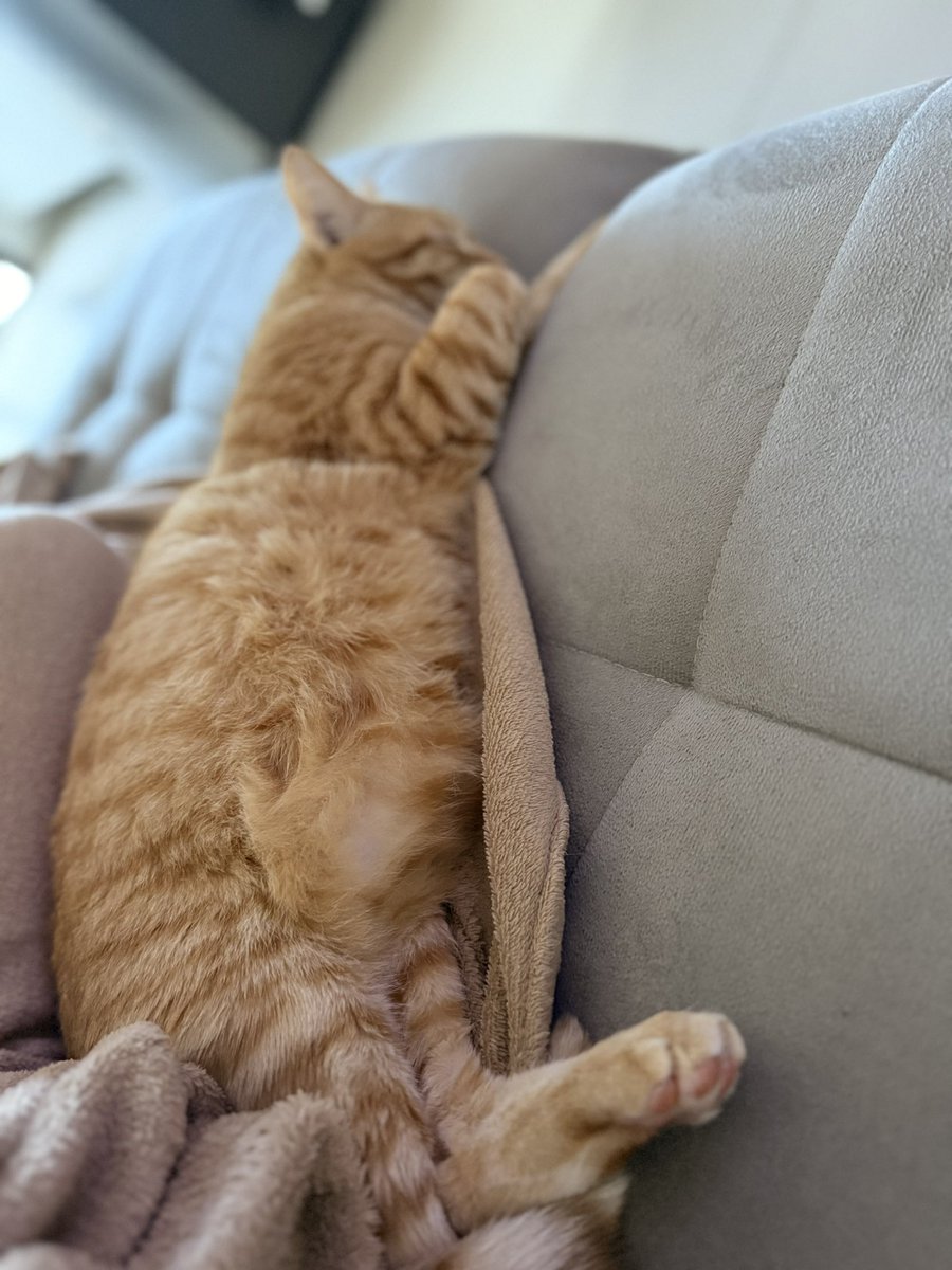 Brubs (@brubs_maesta) on Twitter photo 