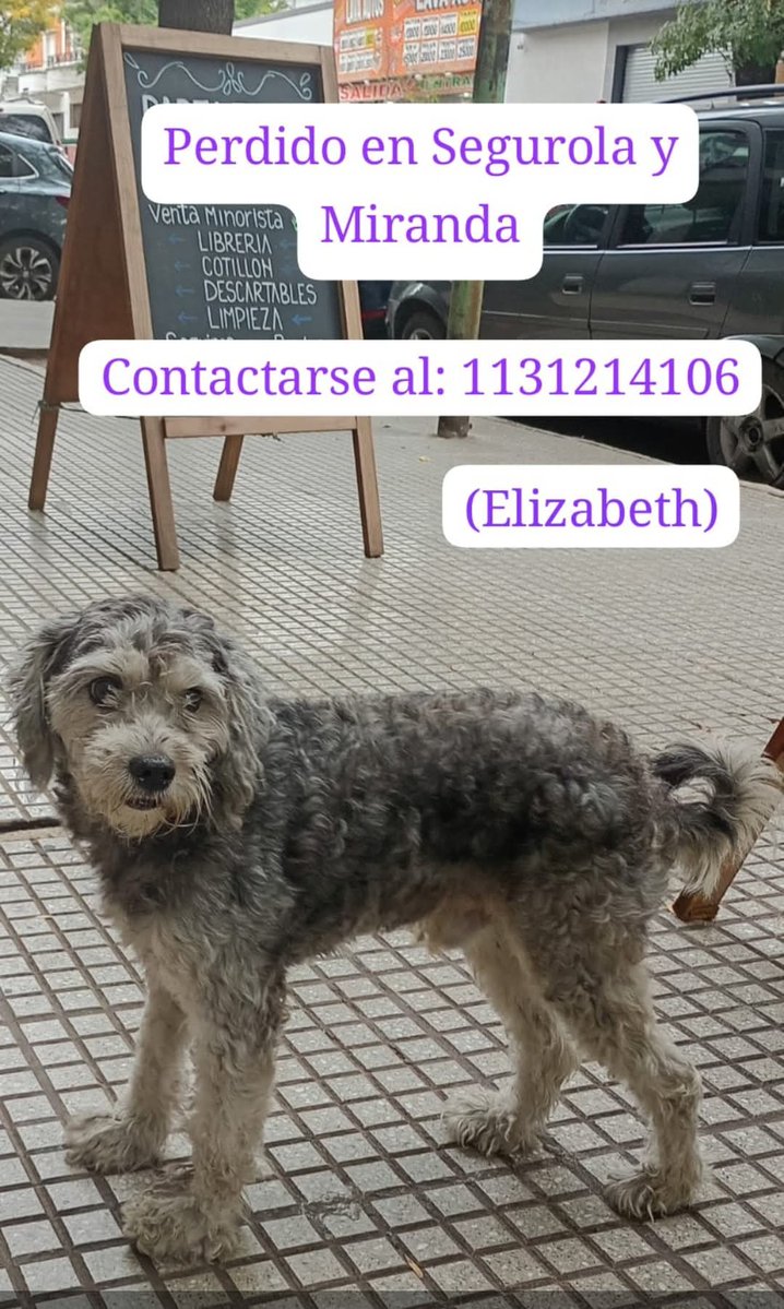 Monte Castro. Difundir 🙏