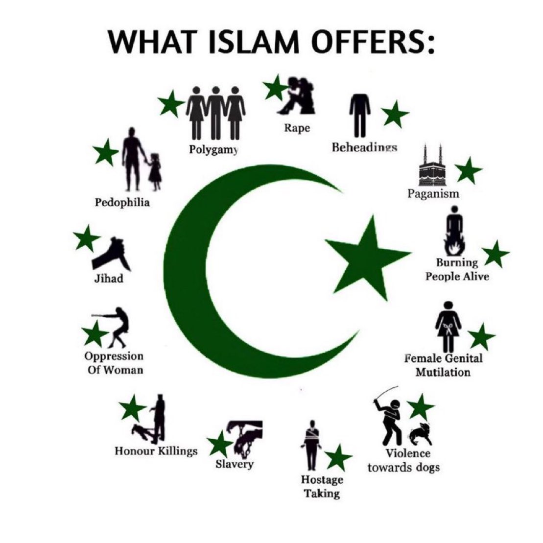 Likes Dogs more than humans tweet media