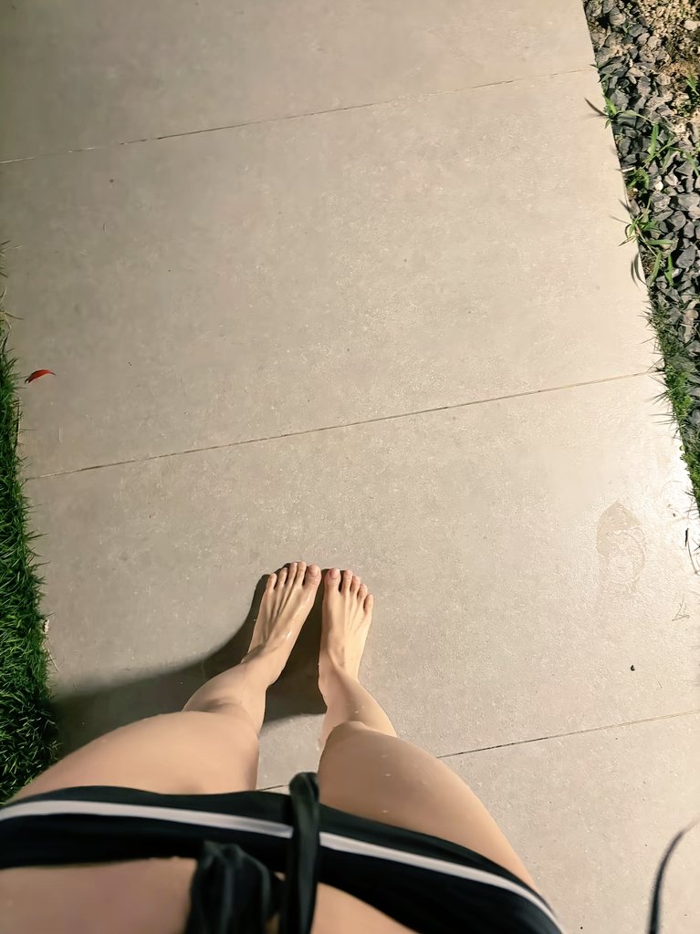 もんてい tweet media