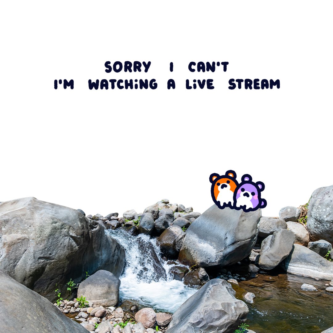 poki (@pokithehamster) on Twitter photo 