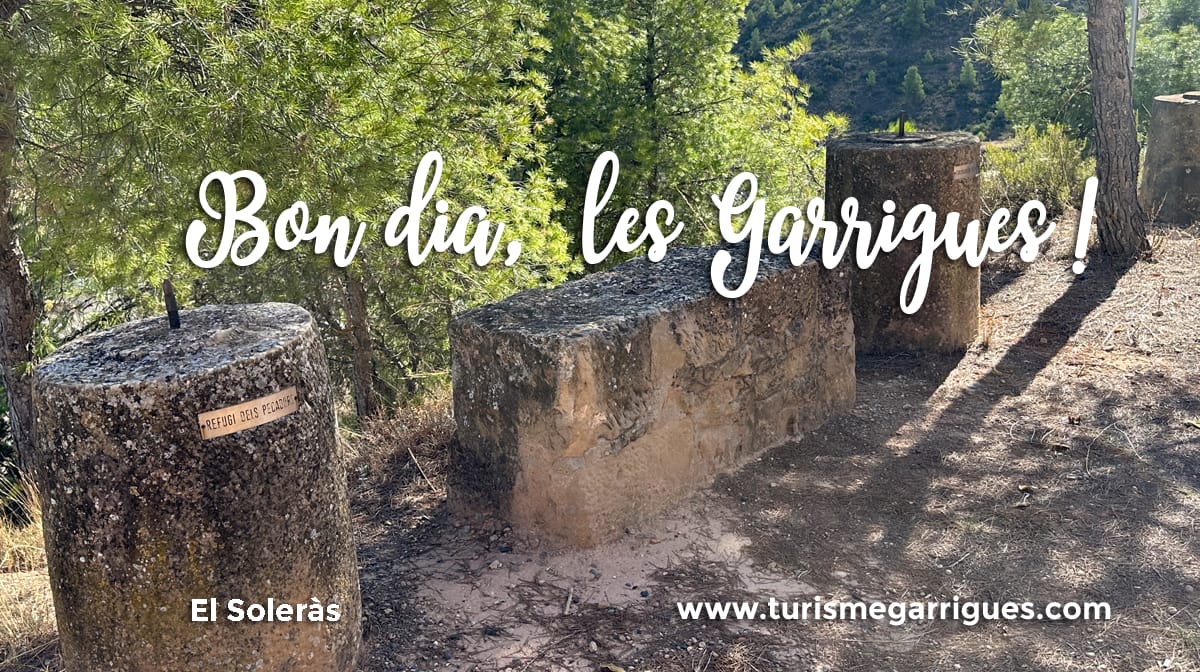 Consell Comarcal de les Garrigues tweet media