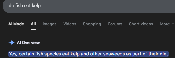 decentralised fish tweet media