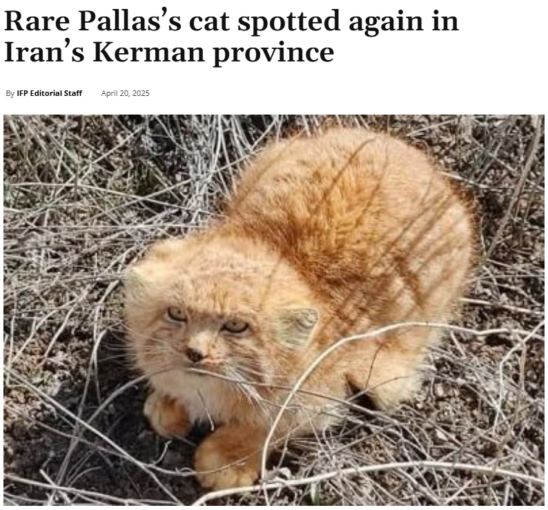 𝕵𝖆𝖉𝖊 ☧ ✠🌻 tweet media