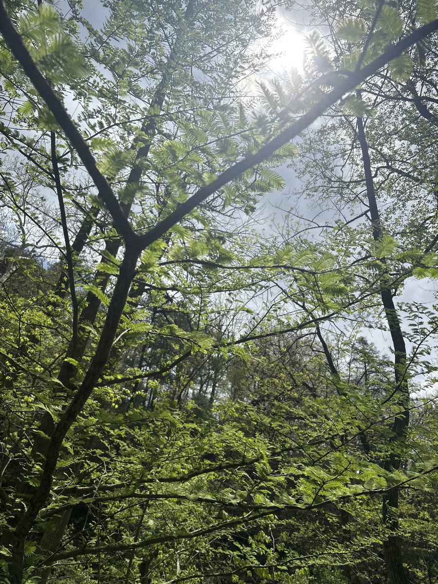 Marie 🪭 tweet media