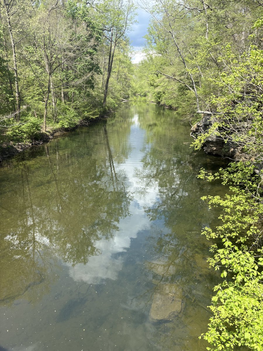 Marie 🪭 tweet media