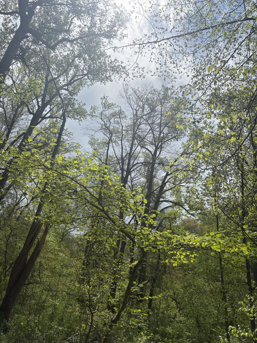 Marie 🪭 tweet media