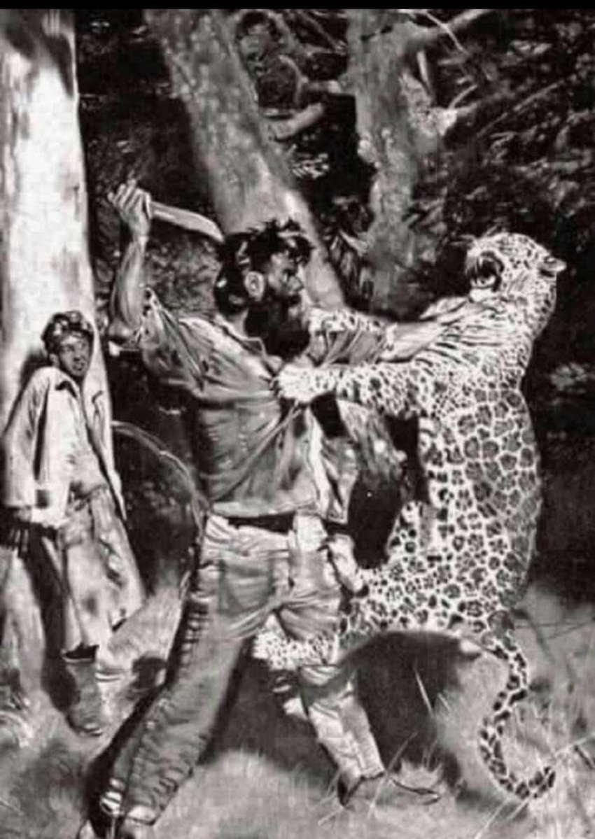 سلطان المطيـري tweet media