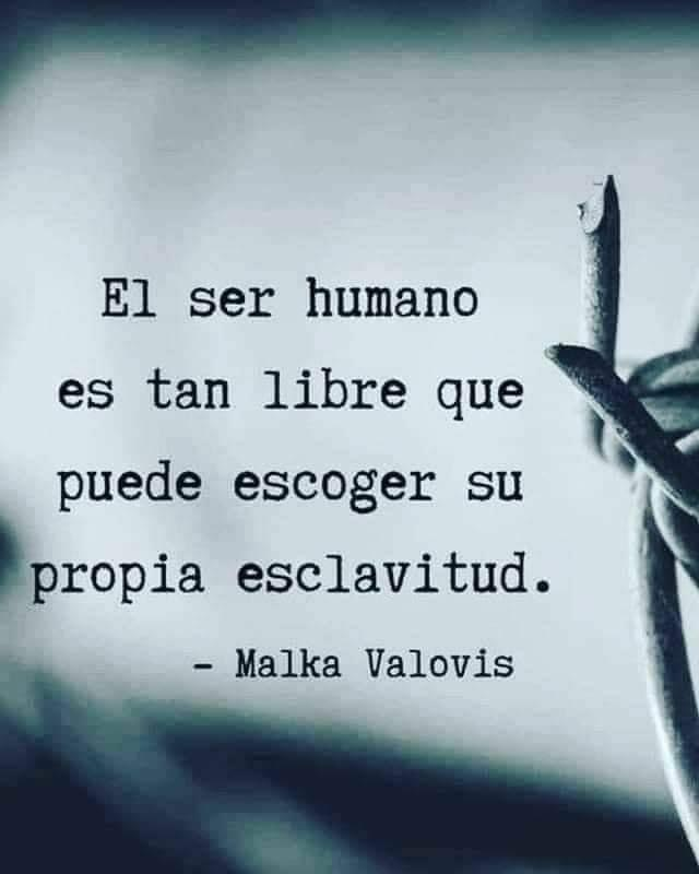 Arquitectura_del_Alma tweet media