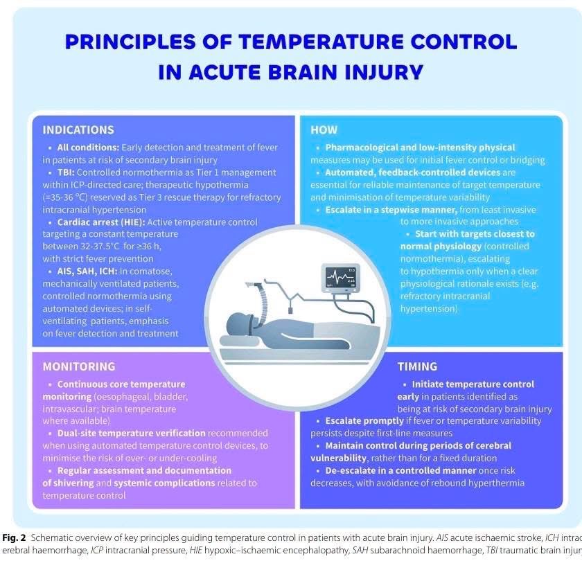 chiara_robba's tweet photo. Temperature control in acute brain injured patients https://t.co/ZLaBiwuPuE