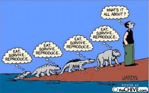 La vida en viñetas tweet media