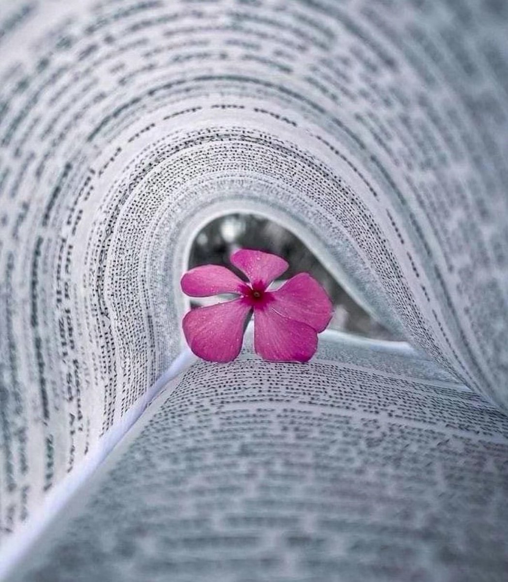 Daniel_Santoy ° tweet media