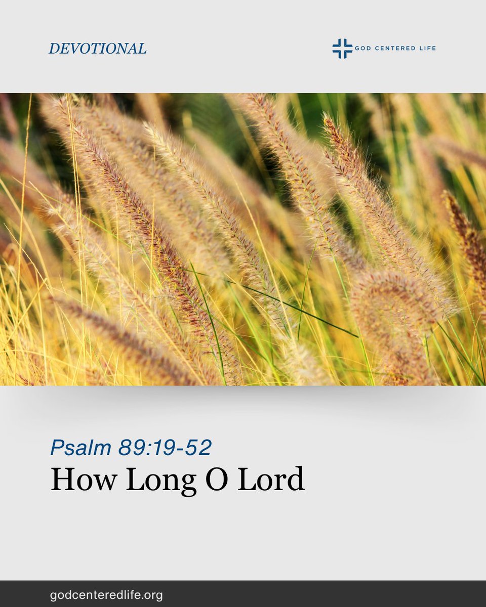 God Centered Life tweet media