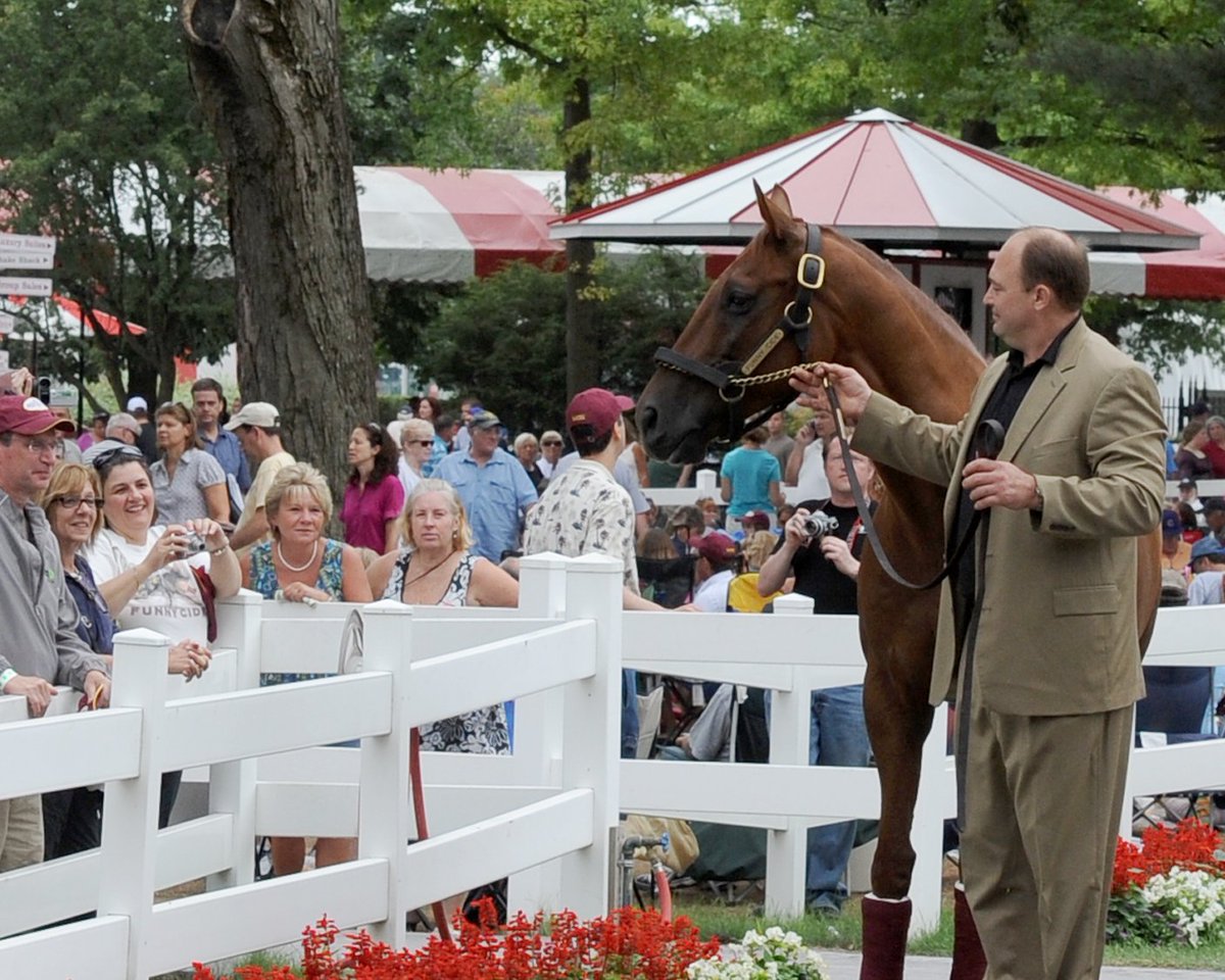 Sackatoga Stable LLC tweet media