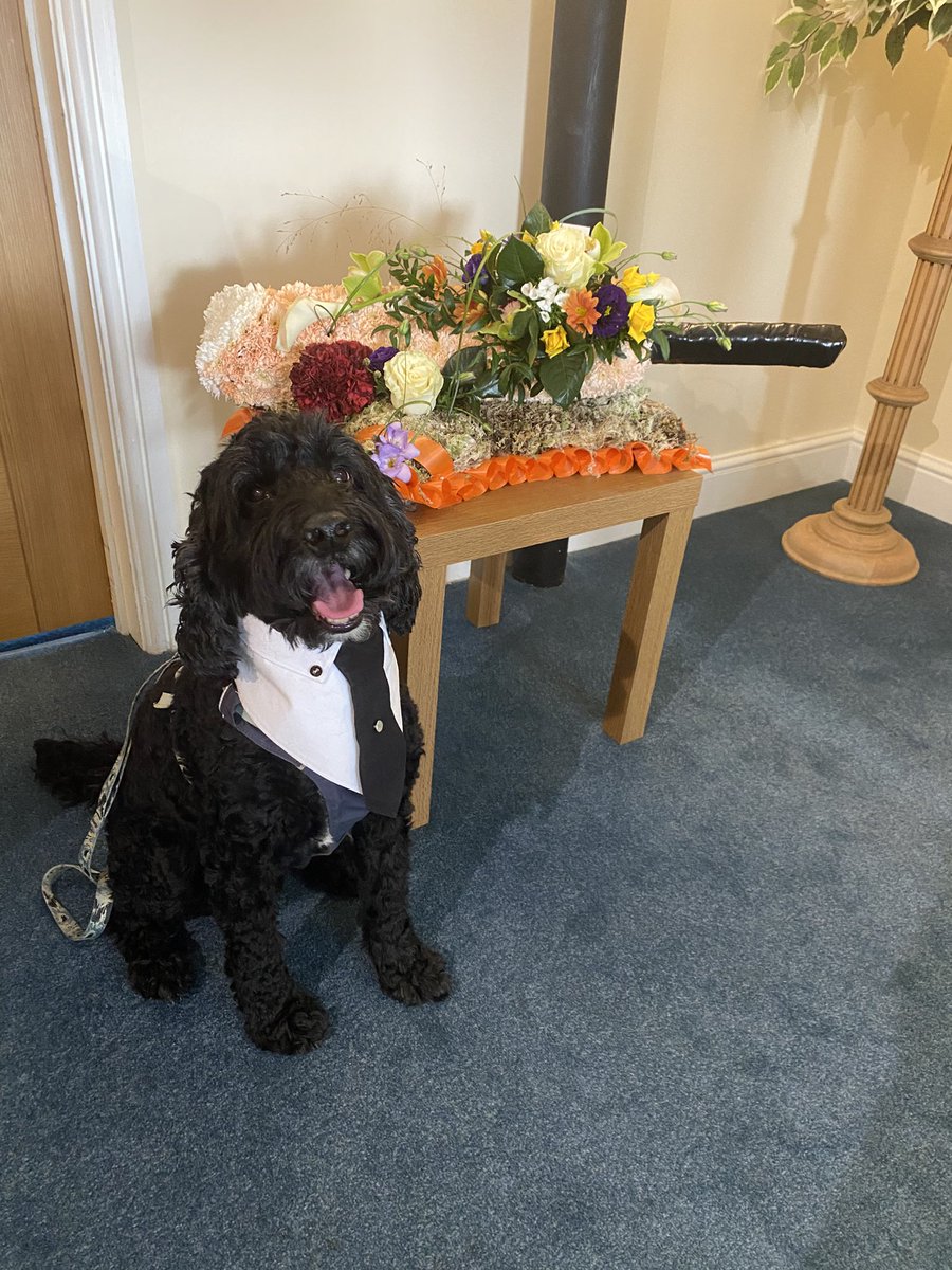 Tracey & Smudge🐶💙 tweet media