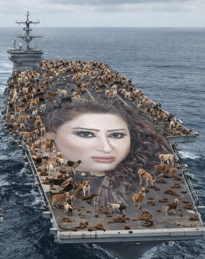 Al Hasan ³¹³ tweet media