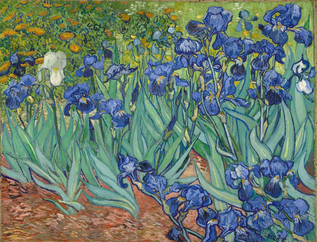 FegrdMuse's tweet image. Irises (1889) by Vincent van Gogh 🧑‍🎨 
Painted in his first week at the Saint‑Rémy asylum, inspired by the garden’s blue irises 🪻
On view at the @GettyMuseum 

#Colour #Color #VanGogh #ColourMuse