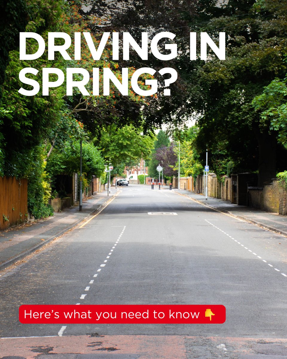 RED Driving School tweet media