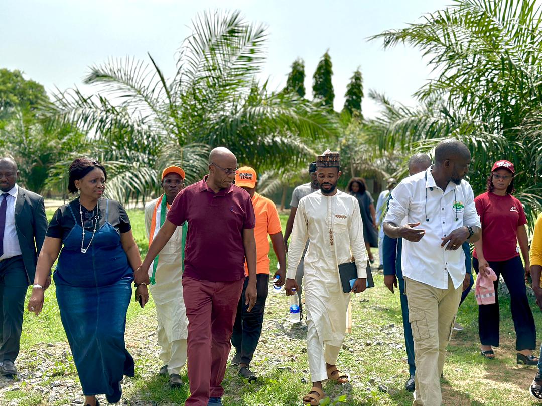 Haruna Ramadanᅠᅠᅠᅠᅠᅠᅠᅠᅠᅠᅠᅠᅠᅠᅠᅠᅠᅠᅠᅠᅠᅠᅠᅠᅠᅠᅠᅠᅠᅠᅠᅠᅠ tweet media