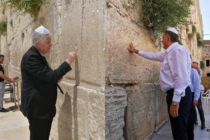 Nine 🇧🇦⚜️ tweet media