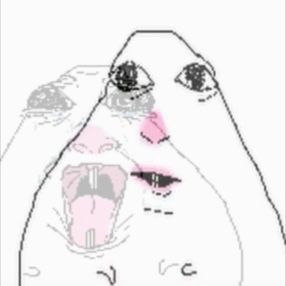 sixx +2kg tweet media